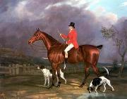 unknow artist Classical hunting fox, Equestrian and Beautiful Horses, 248. oil painting reproduction